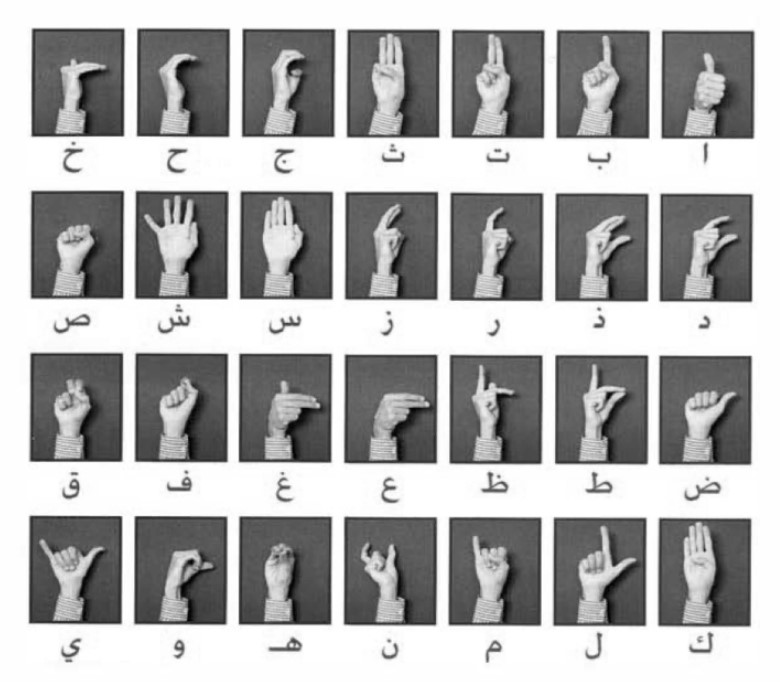 The signing alphabet for Arabic letters, with hands making signs against each letter.